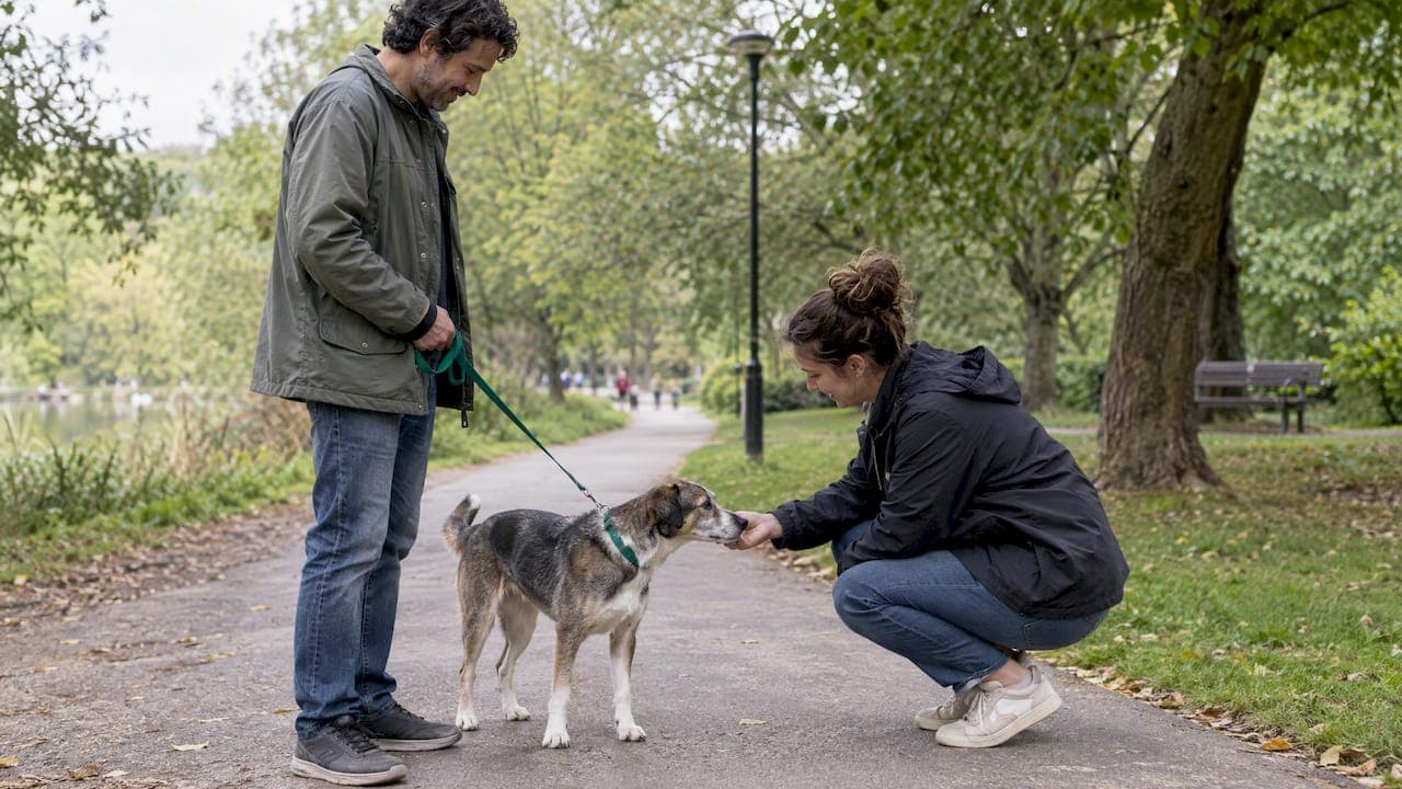 Rehome Your Pet Safely: Take a Few Weeks Before Listing Locally